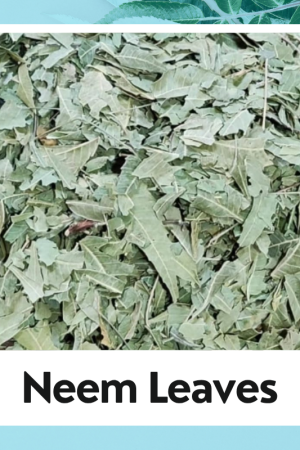 Dried Neem Leaves | नीम पत्ती | Neem Patti | Azadirachta Indica | Organic Neem Leaves