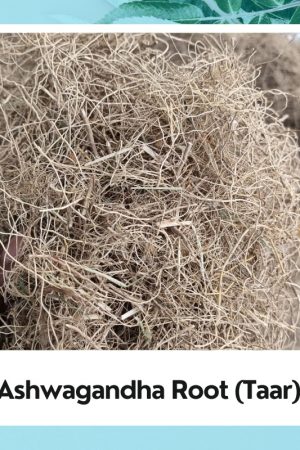 Ashwagandha Taar | Asvagandha | Withania Somnifera | Ashwganadha Jadd Taar |100% Natural Herbs