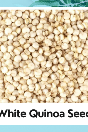 White Quinoa Seed|Indian Organic White Quinoa Seeds|सफेद क्विनोआ बीज