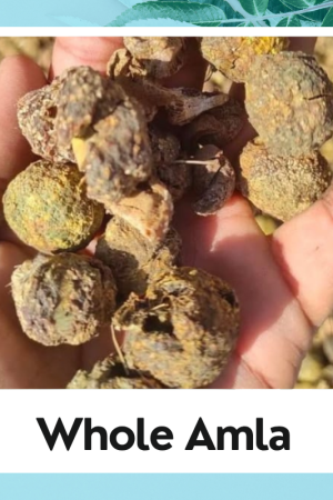Whole Dry Amla|Amla Sabut|Sukha Amla|साबुत आंवला