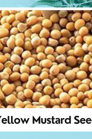 Mustard Seed Yellow |Organic Mustard Seeds Yellow |Whole Kali Rai Dana | Sarson dana Indian |Brassica Nigra | Pure Organic |100% Natural Products
