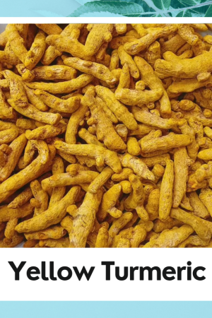 Haldi | Turmeric | Curcuma longa | 100% Natural Turmeric | Organic Haldi